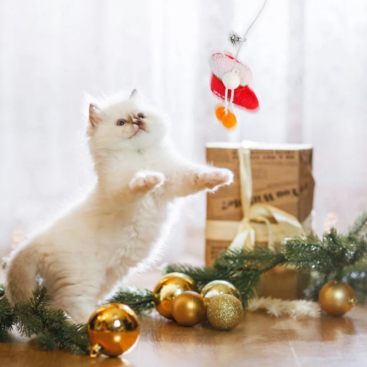 Interactive Christmas Cat Toy, Gift Set, Indoor, 18 Piece