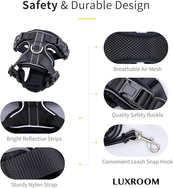 Cat Leash and Harness Set for Walking, Adjustable Breathable Kitten Harness and Leash with Safety Reflective Strap