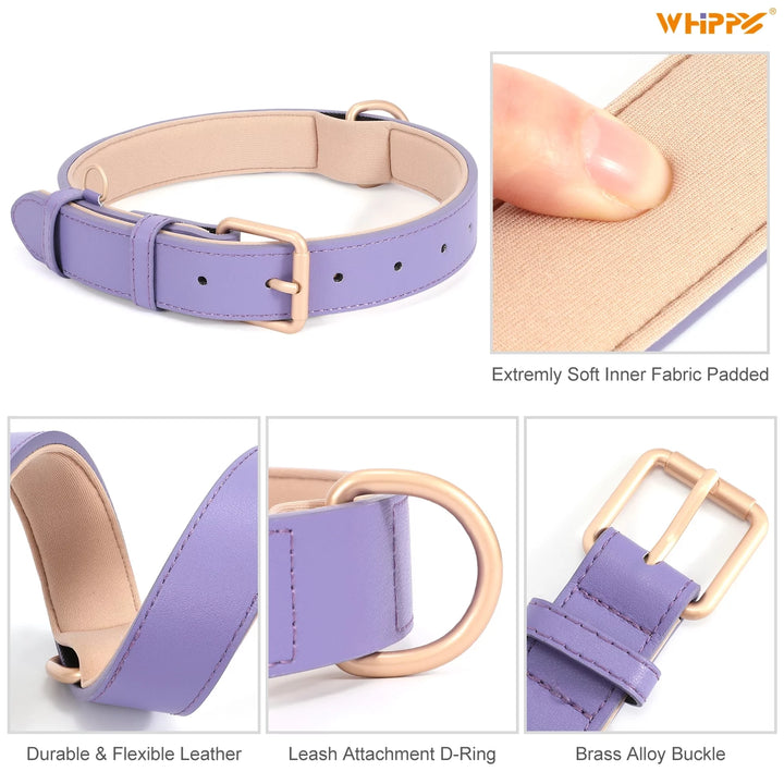 Leather Dog Collar, Soft Padded Dog Collar for Puppy Small Medium Large Dogs