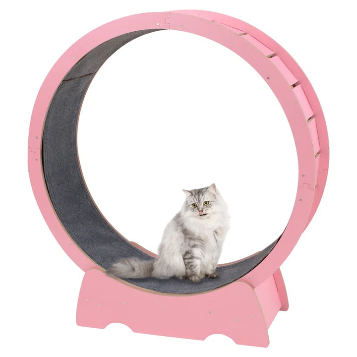 Denora 45'' Large Cat Running Wheel Treadmill