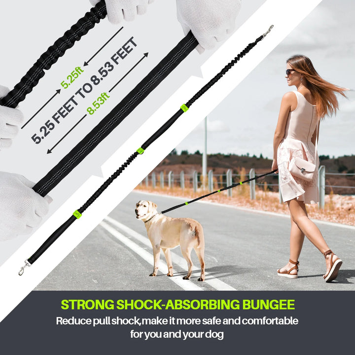 Hands Free Dog Leash for Running Jogging Walking with Zipper Pouch, Retractable Bungee Dog Leash Belt with Dual Padded Handles for Large/Medium Dogs, Adjustable Reflective Waist Belt