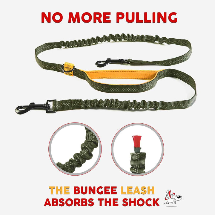 Exquisite Hands-Free Leash for Two Medium Dogs – Perfect for Active Pet Owners – Comfortable, Durable & Ideal for Running, Walking, Hiking – Premium Dual Waist Lead with Bungee – Must-Have Dog Gear