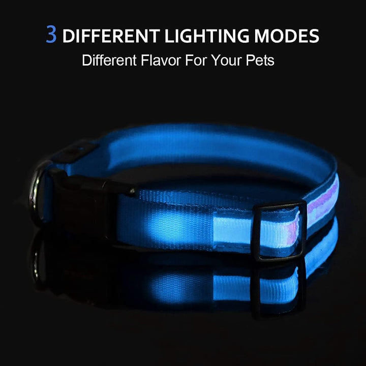 LED Dog Collar - 3 Different Lighting Modes, 100% Waterproof, USB Rechargeable, Adjustable Light up Dog Collars, Glowing Dog Collars, Reflective Light up Dog Collars (Small, Blue)