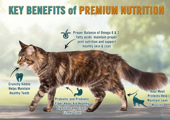 All Natural Premium Adult Dry Cat Food, Real Meat First Ingredient, No By-Products, Supports Heart, Gut & Immune Health, Chicken & Brown Rice, 4.5Lb
