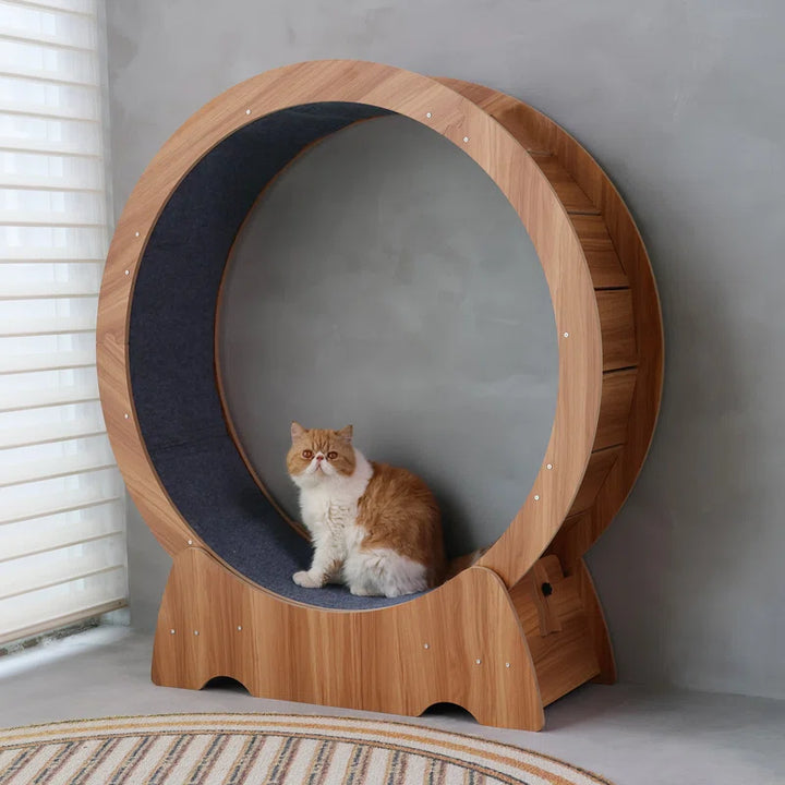Denora 45'' Large Cat Running Wheel Treadmill