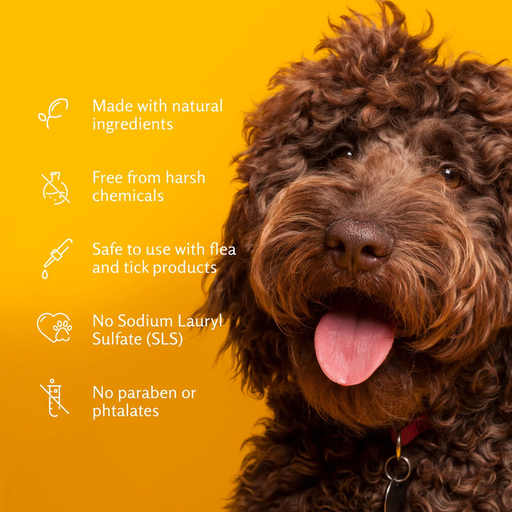 Revitalize Your Pup: 3-Pack Dog Deodorizing Shampoo with Baking Soda & Kiwi Blossom - 20 Oz Each