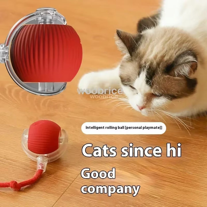 Interactive Cat Ball Toys Automatic Rolling Ball Faux Tail Rechargeable Pet Electric Toy Dog Cat Training Imitate Mouse Pet Toys