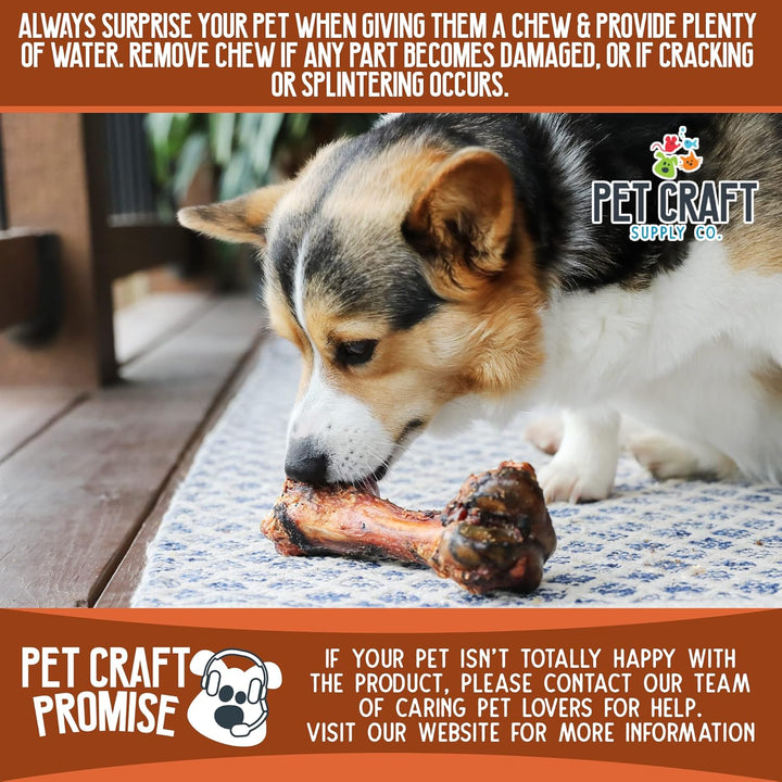 ALL Natural Healthy Pork Femur Bones Dog Chews Treats for Medium Tough Chewers Long Lasting Rawhide Free Made in USA Premium Grade Slow Roasted High Protein
