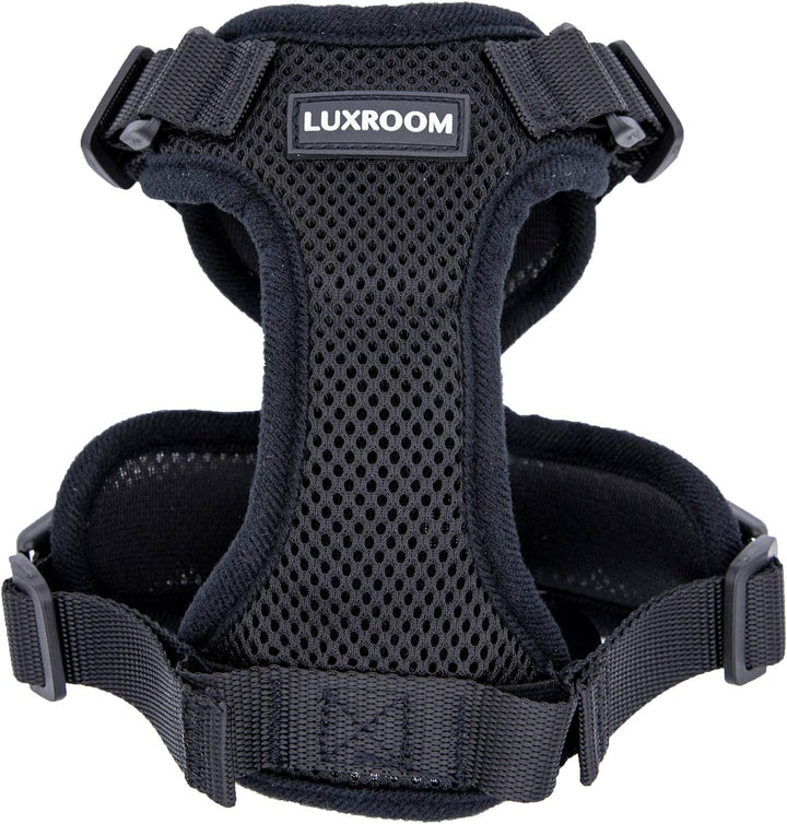 Cat Leash and Harness Set for Walking, Adjustable Breathable Kitten Harness and Leash with Safety Reflective Strap