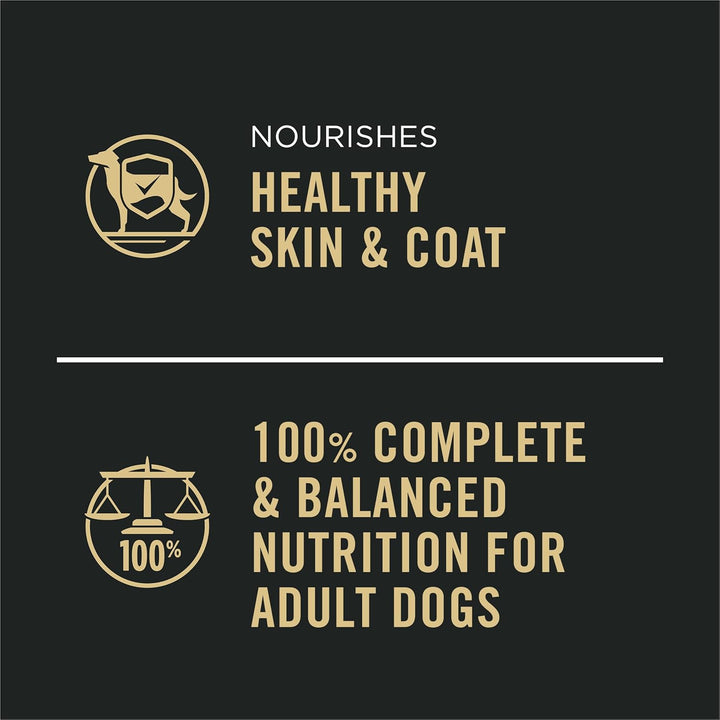 Complete Essentials, Beef and Vegetables Entree in Wet Dog Food Gravy