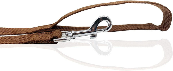 Nylon Dog Leash 16 Feet Long, Walking Training Dog Leashes for Medium Large Dogs(1" X 16 Ft, Brown)