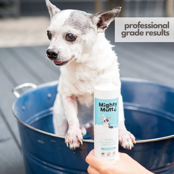 Natural Hypoallergenic Dog Shampoo & Conditioner - Soothing Anti-Itch Formula for Smelly Dogs - 9 Oz