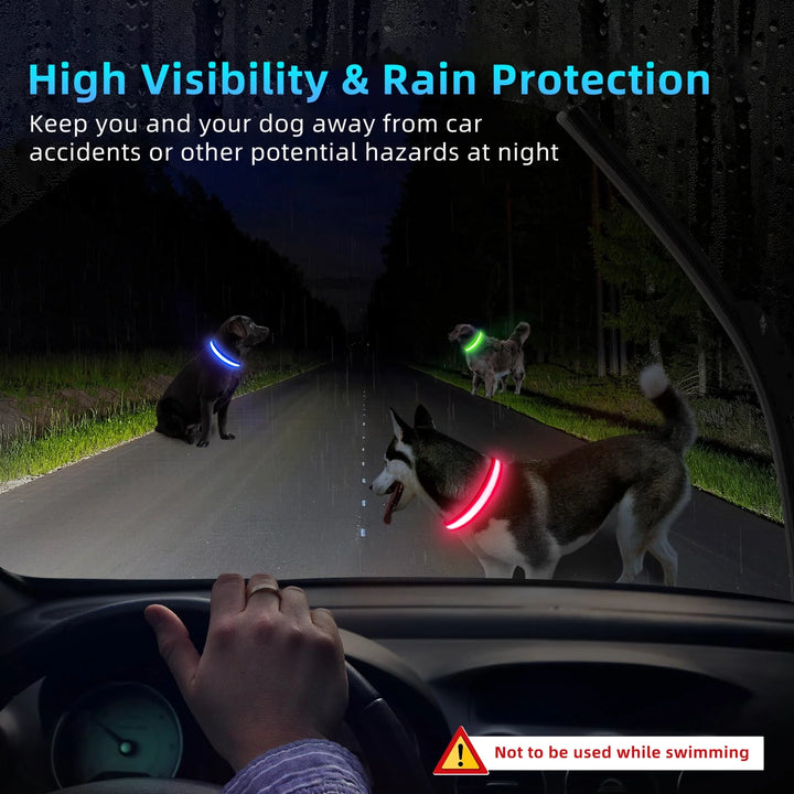 Light up LED Dog Collar, Waterproof Rechargeable for Night Walking RGB Colorful Adjustable Safety Dog Collar for Medium Dogs (Pink)
